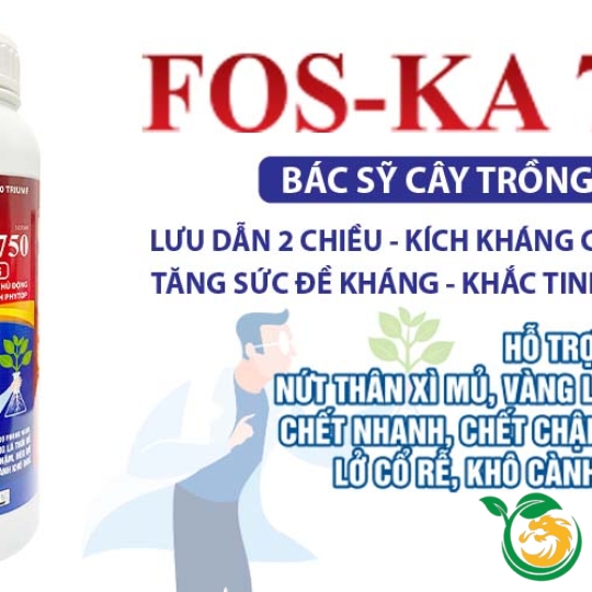 Vật tư Nông Nghiệp Kim Long-THIẾT KẾ BỞI MR TÀI: 0789711496
